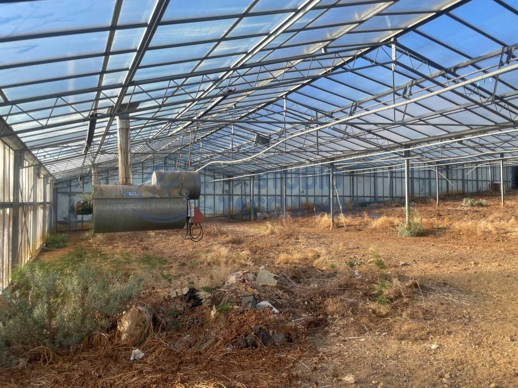Terreno a Taggia in Via Beglini, 137 - Foto 5