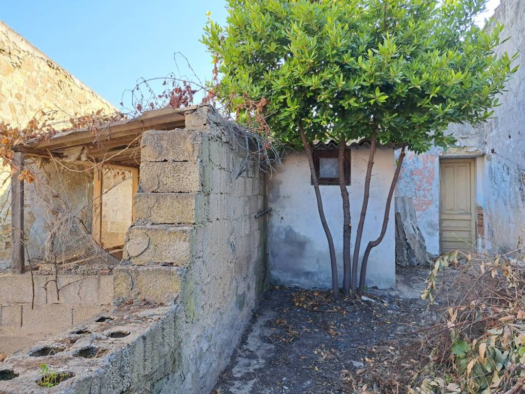 Terreno a Sanluri - Foto 3