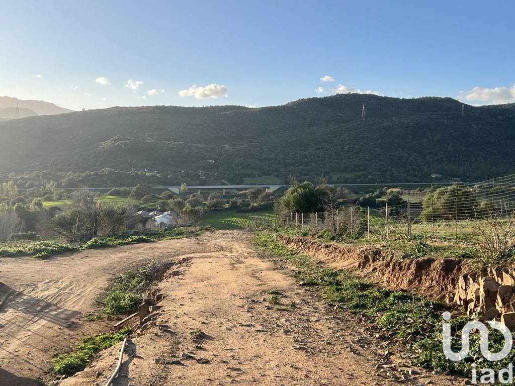 Terreno a Tortolì in LocalitÃ PREDALONGA - Foto 2
