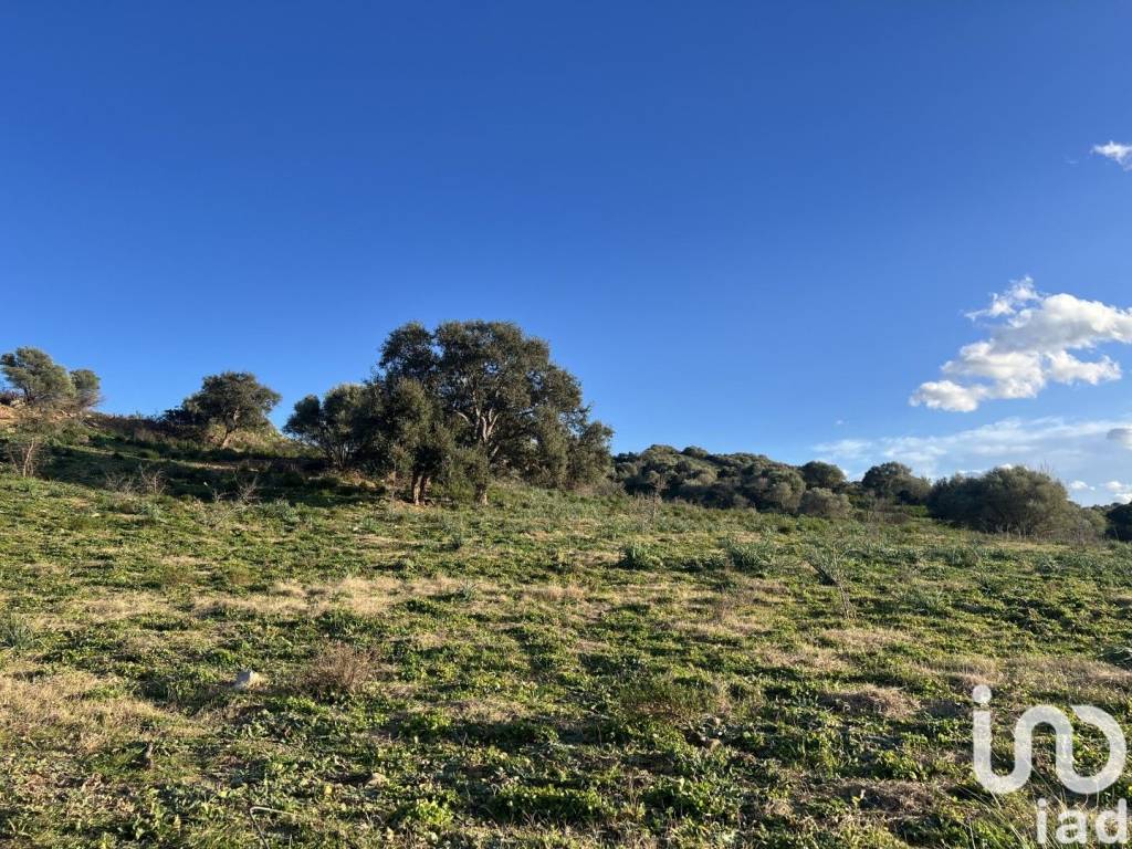 Terreno a Tortolì in LocalitÃ PREDALONGA - Foto 4