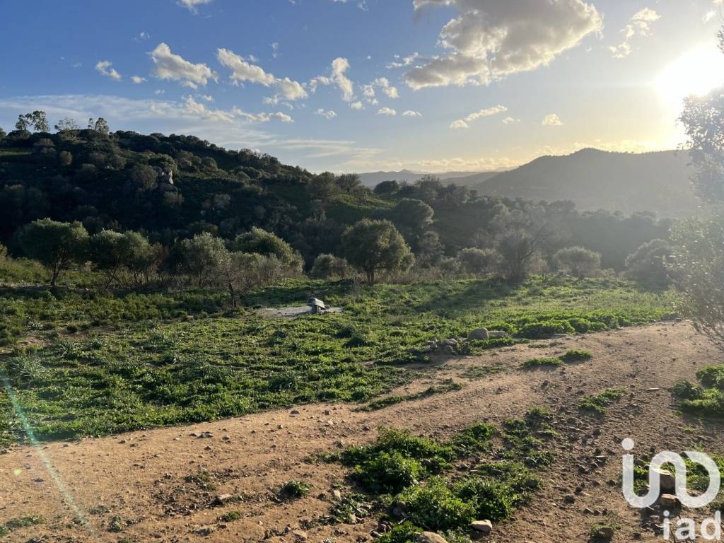 Terreno a Tortolì in LocalitÃ PREDALONGA - Foto 5