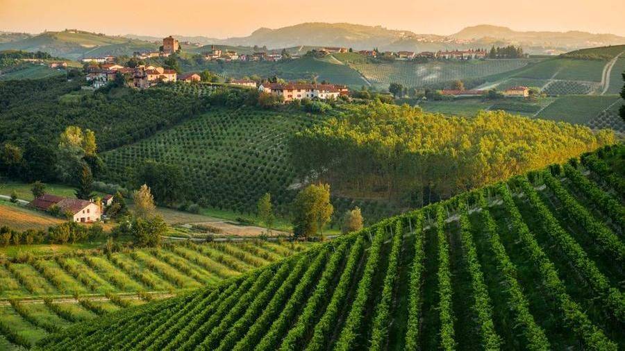 Terreno a Santo stefano belbo - Foto 3