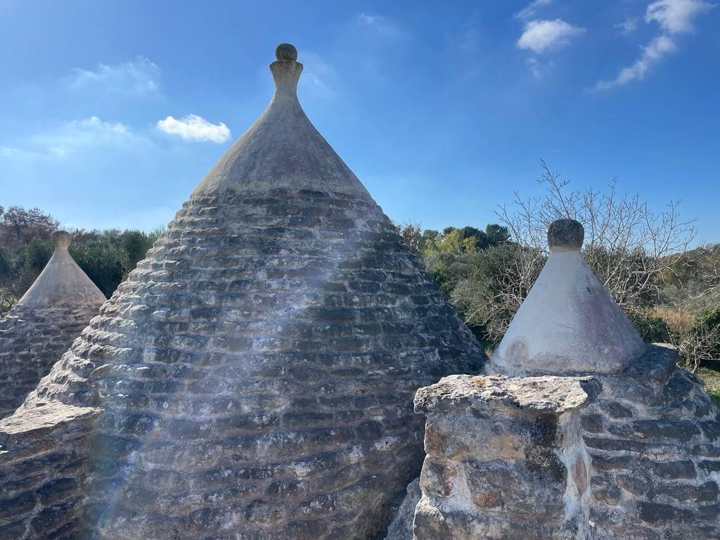 Rustico / casale a Ceglie messapica in contrada spasimato - Foto 2