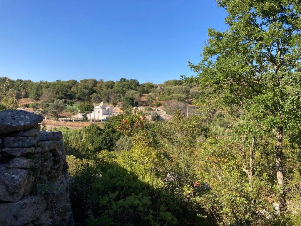 Rustico / casale a Ceglie messapica in Contrada Selvaggio - Foto 4