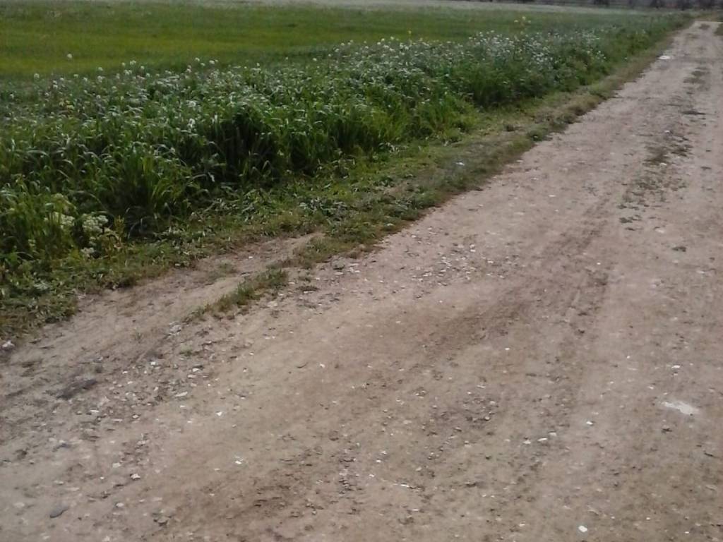 Terreno a Barletta in Contrada Fiumara - Foto 2