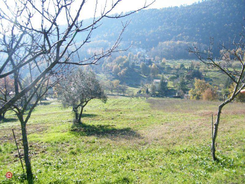 Terreno a Alatri in VIA ACCORCIATOIA COSCIANO - Foto 2