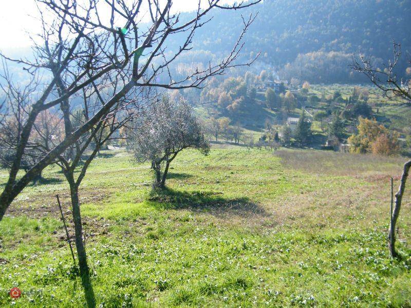 Terreno a Alatri in VIA ACCORCIATOIA COSCIANO - Foto 3