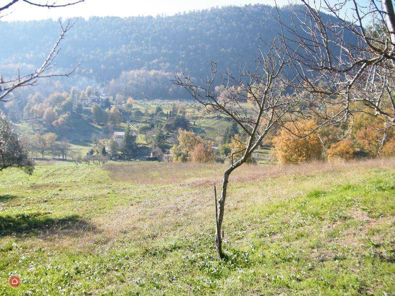 Terreno a Alatri in VIA ACCORCIATOIA COSCIANO - Foto 4