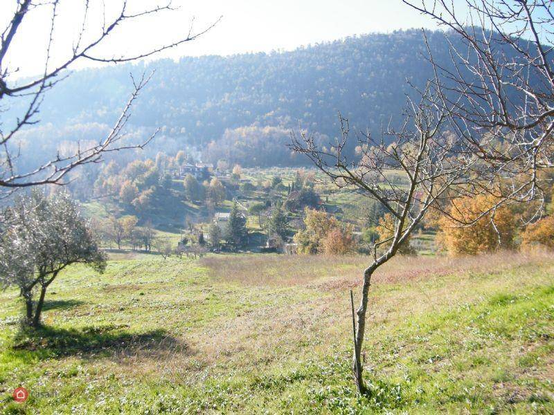 Terreno a Alatri in VIA ACCORCIATOIA COSCIANO - Foto 5