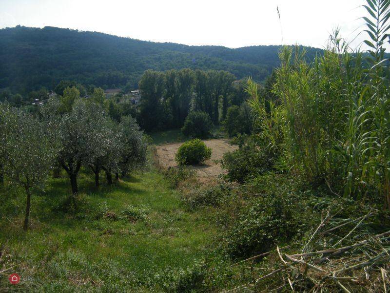 Terreno a Alatri in LOCALITA' COLLE LAVENA - Foto 2