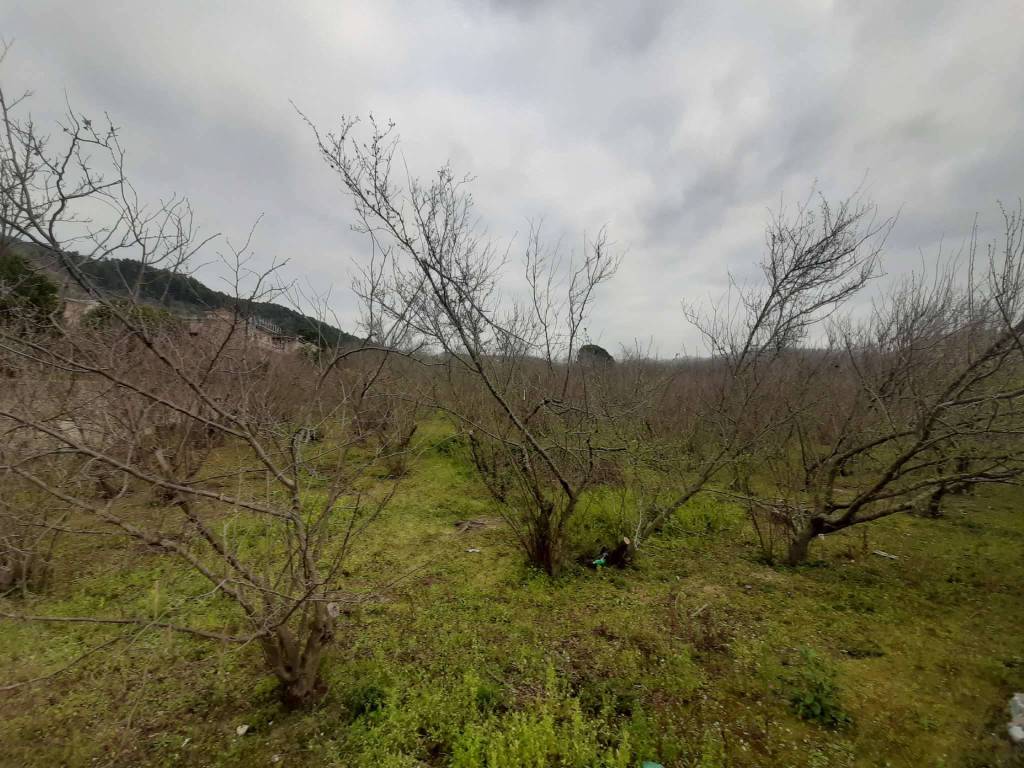 Terreno a Roccarainola in via marco taliento snc - Foto 2