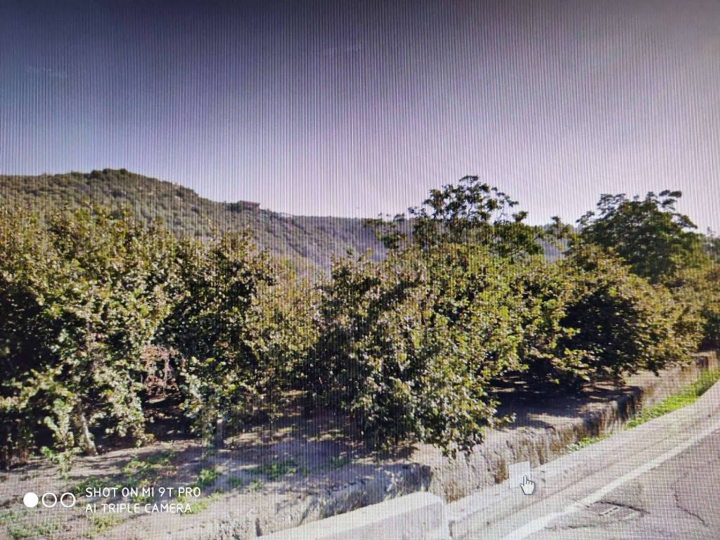 Terreno a Roccarainola in via marco taliento snc - Foto 3