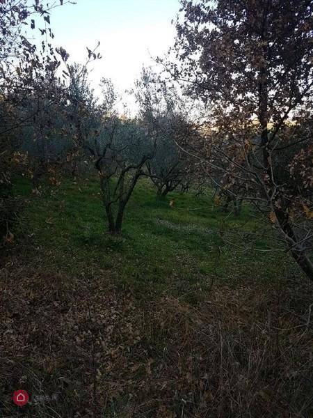Terreno a Alatri in STRADA PROVINCIALE XII MARIE - Foto 2