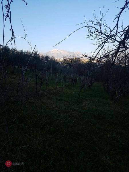 Terreno a Alatri in STRADA PROVINCIALE XII MARIE - Foto 4