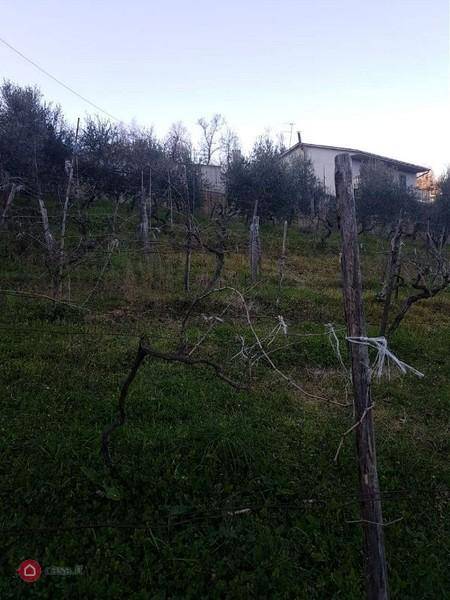 Terreno a Alatri in STRADA PROVINCIALE XII MARIE - Foto 5