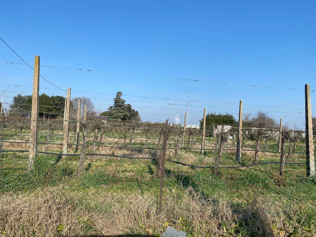 Terreno a Imola - Foto 5