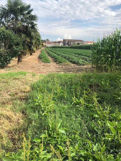 Terreno a Adria in VALLIERA - Cavedon, 0 - Foto 2