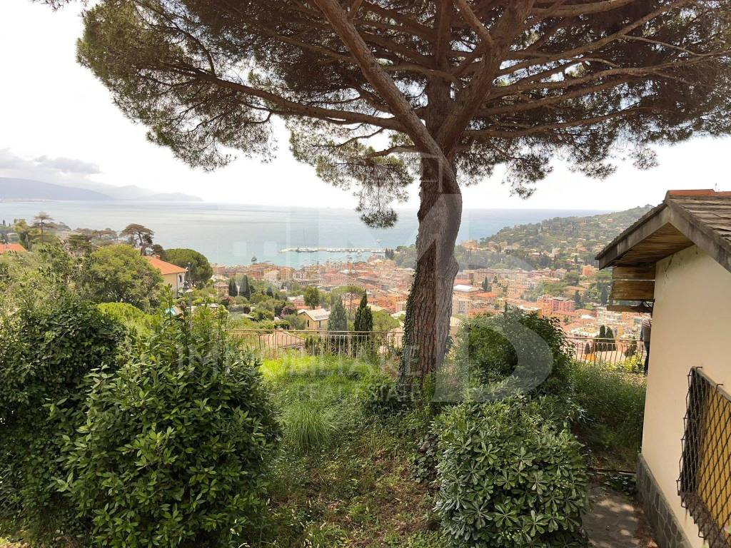 Villa a Santa margherita ligure in Via San Lorenzo, 52 - Foto 5