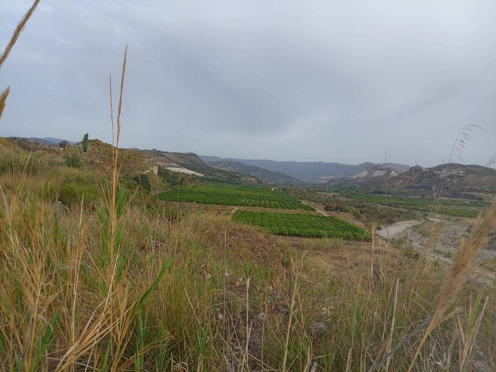 Terreno a Ardore in Strada Provinciale N. 76 - Foto 2