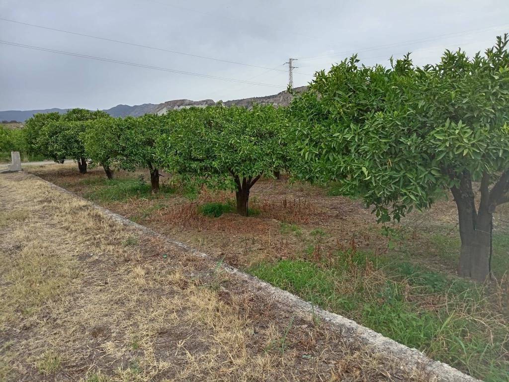 Terreno a Ardore in Strada Provinciale N. 76 - Foto 4