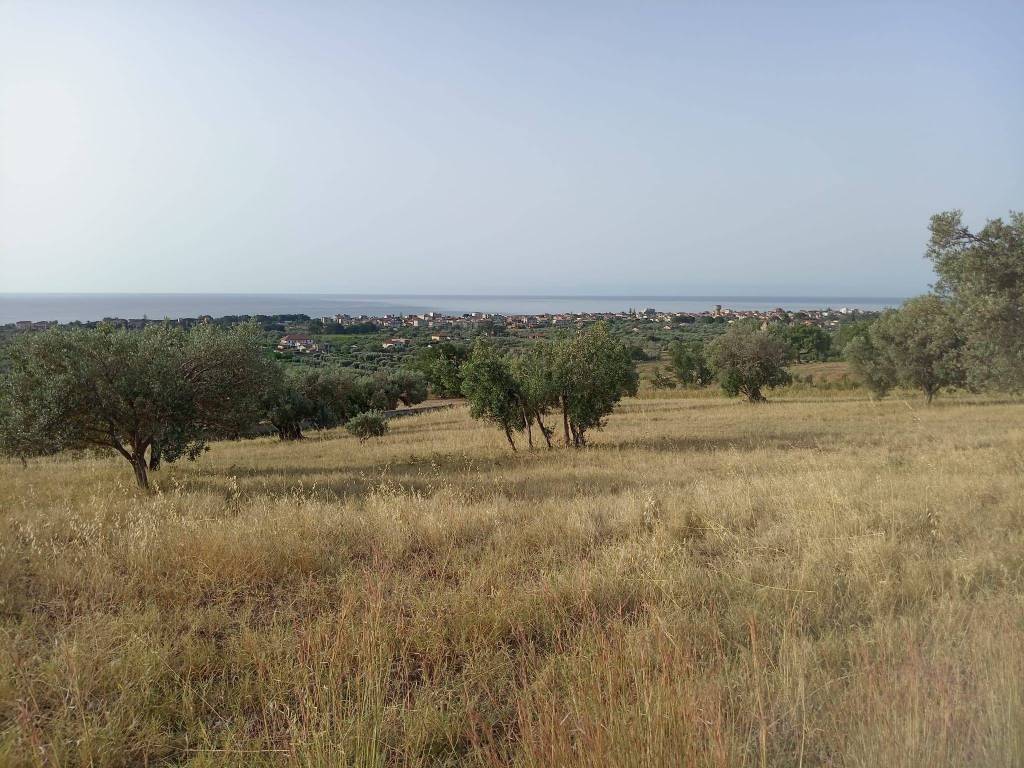 Terreno a Ardore in Strada Salvatore, 6 - Foto 2