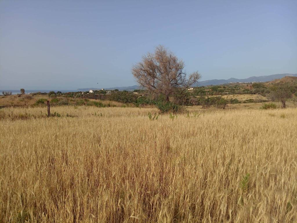Terreno a Ardore in Strada Salvatore, 6 - Foto 3