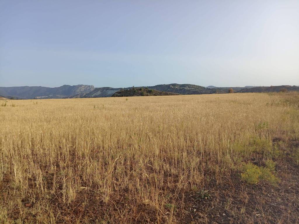 Terreno a Ardore in Strada Salvatore, 6 - Foto 5