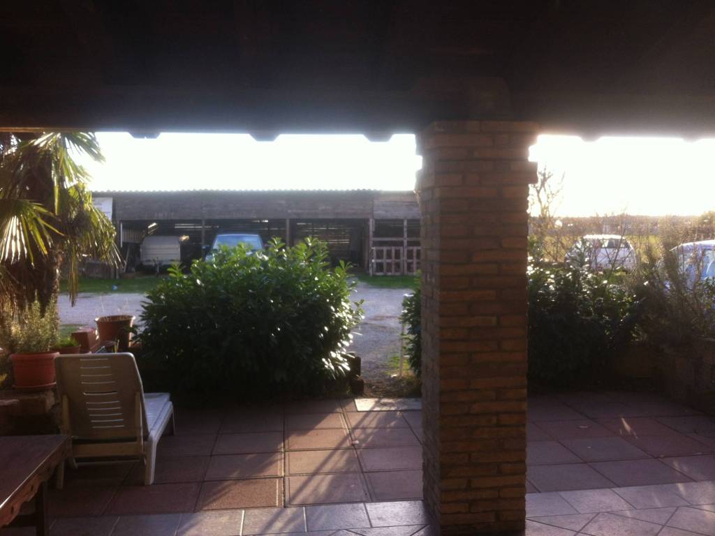 Rustico / casale a Cervia in Via Ficocle, 12 - Foto 3