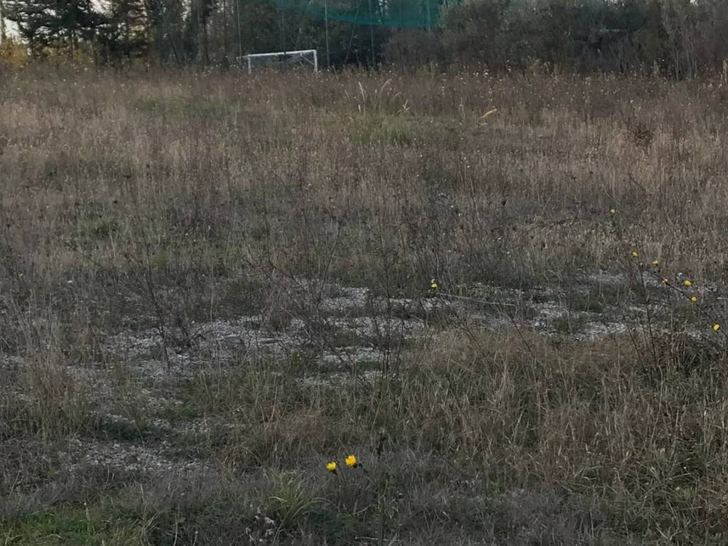 Terreno a Ortona - Foto 3