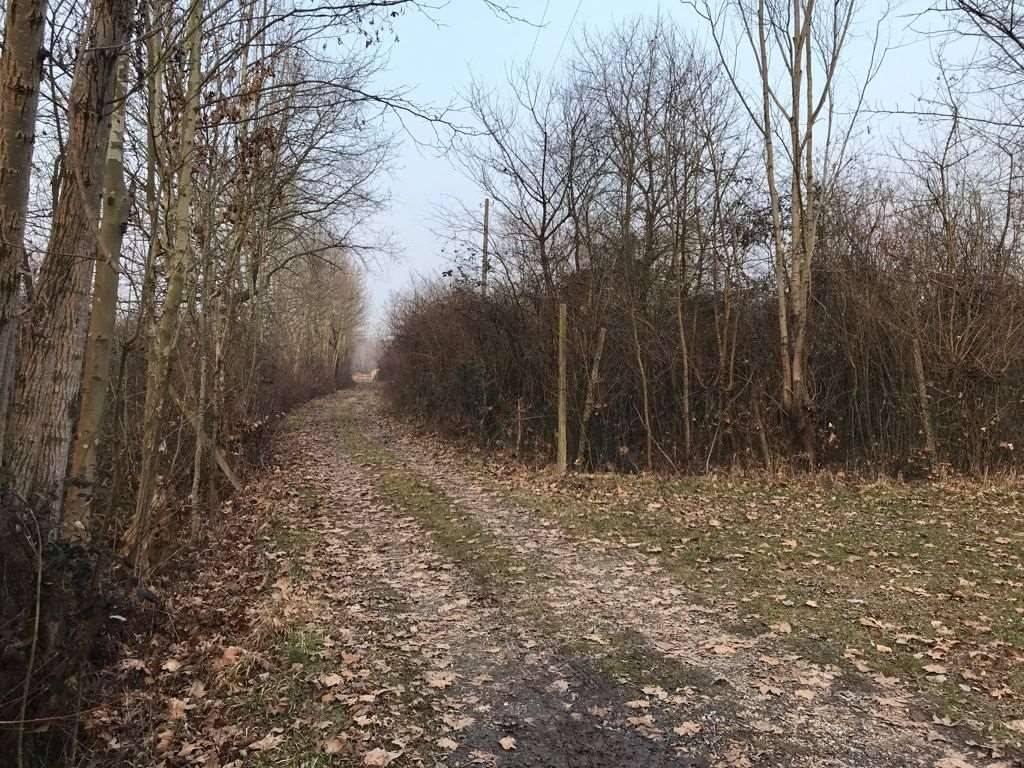 Rustico / casale a Marcon - Foto 5