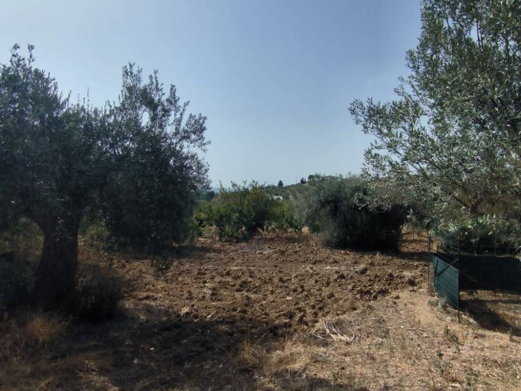 Terreno a Caltanissetta in Via Poggio degli Ulivi, 2 - Foto 5
