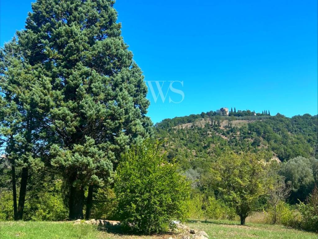 Rustico / casale a Todi in todi - Foto 2