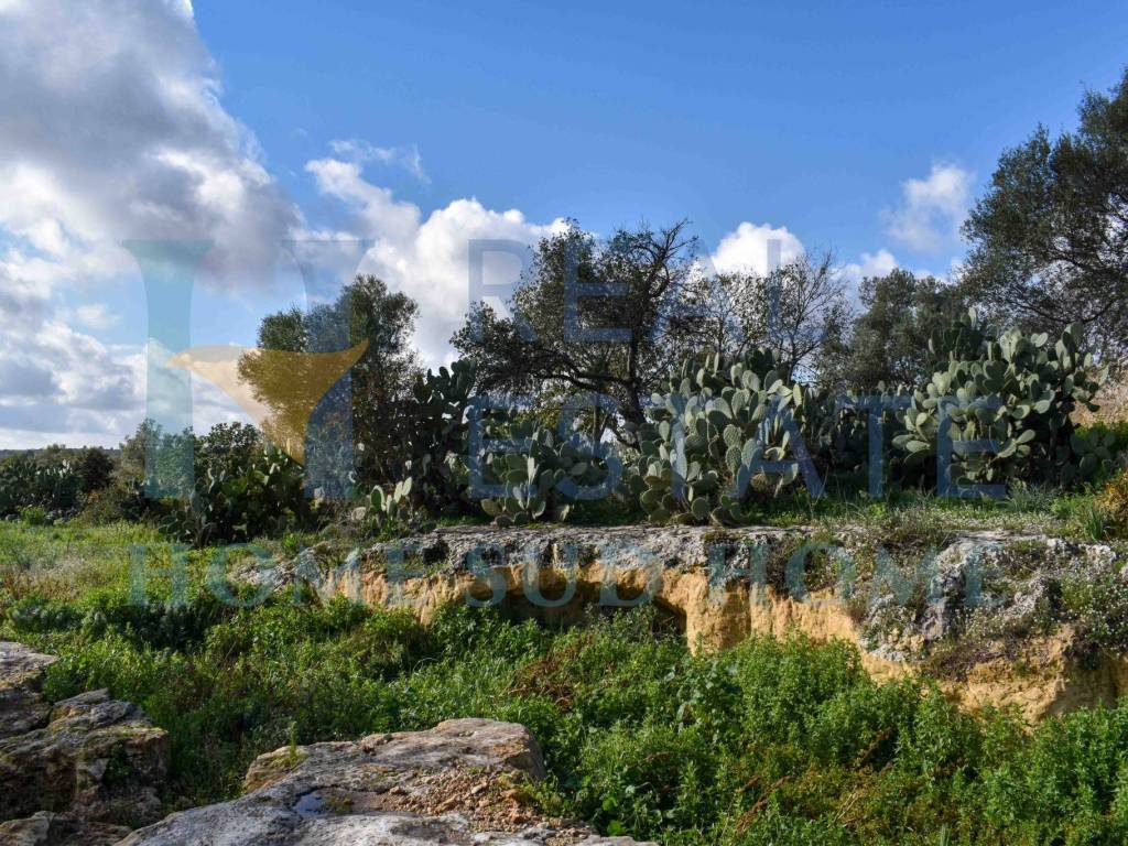 Rustico / casale a Noto - Foto 5