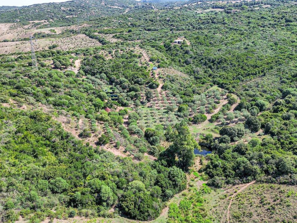Terreno a Aglientu in Loc. Monti Pascali - Foto 2