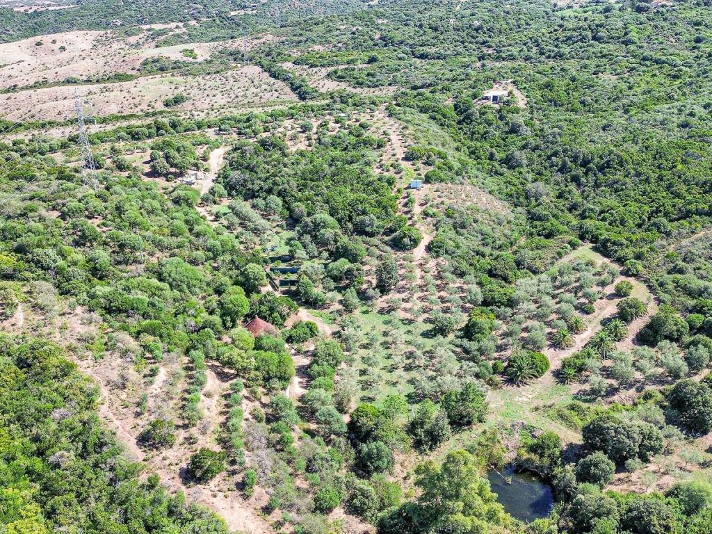Terreno a Aglientu in Loc. Monti Pascali - Foto 4