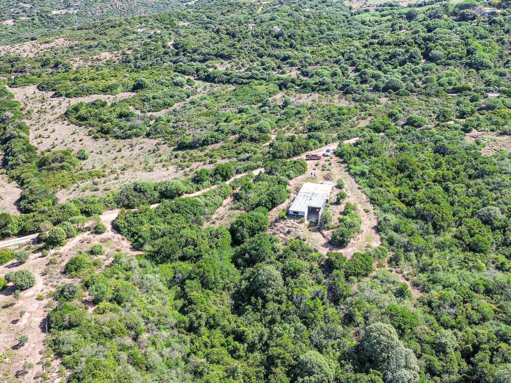 Terreno a Aglientu in Loc. Monti Pascali - Foto 5