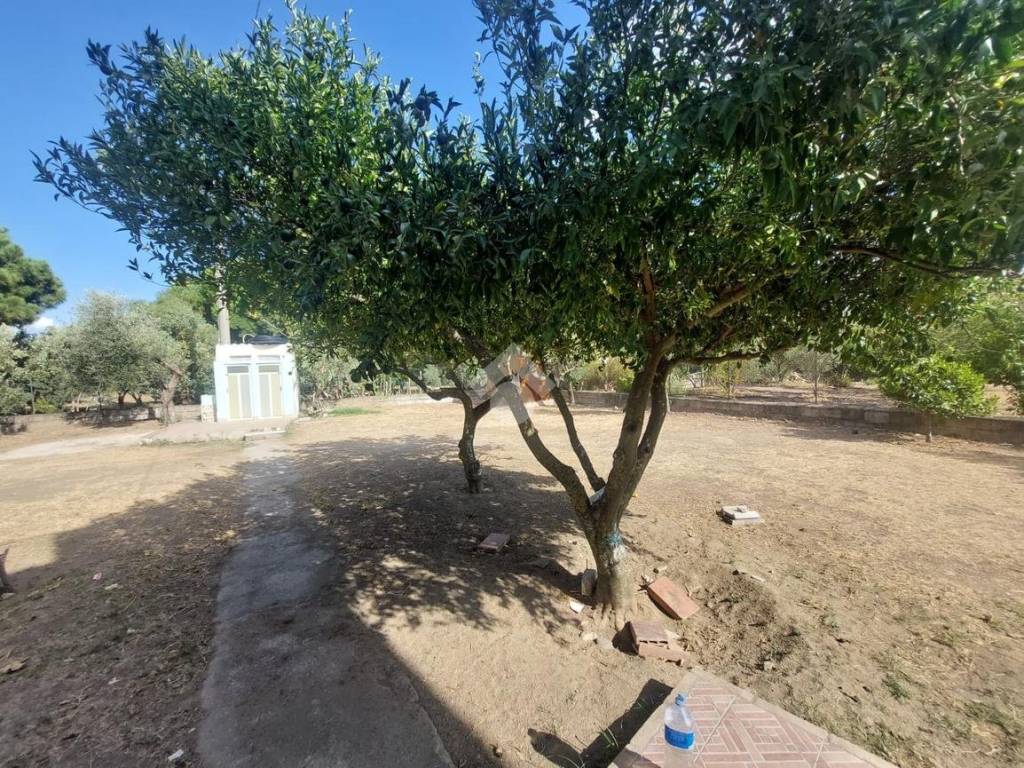 Appartamento a Sellia marina in Traversa 1ª Viale del Biancospino - Foto 2