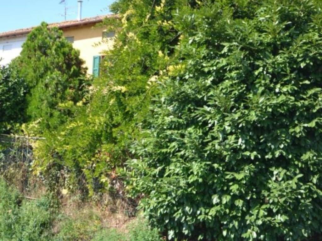 Appartamento a San giovanni in persiceto in Via Permuta, 30 - Foto 4