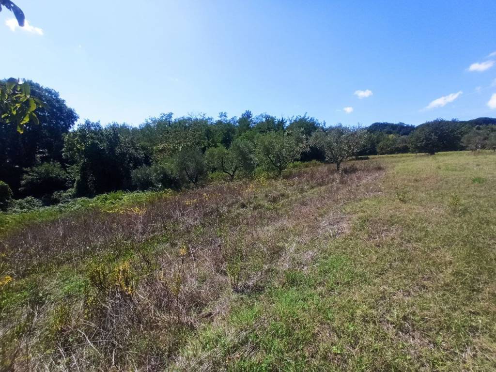 Terreno a Castiglione del lago in SP301 - Foto 2