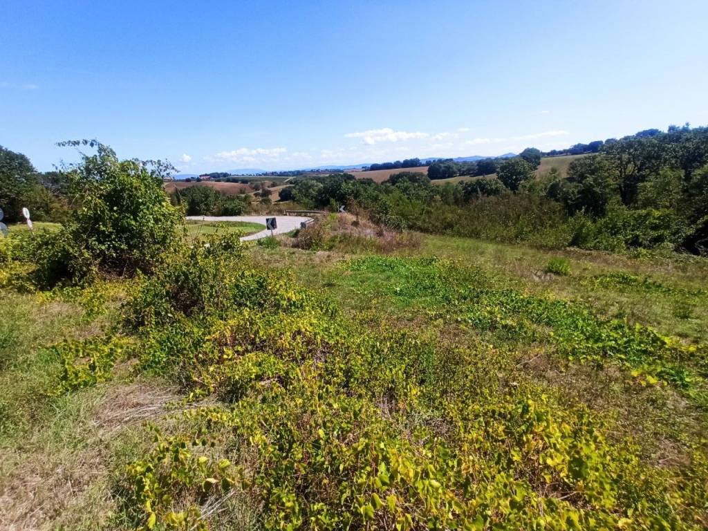 Terreno a Castiglione del lago in SP301 - Foto 5