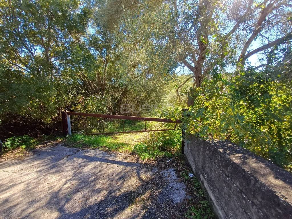Terreno a Canicattini bagni in C.da GAROFALO - Foto 2