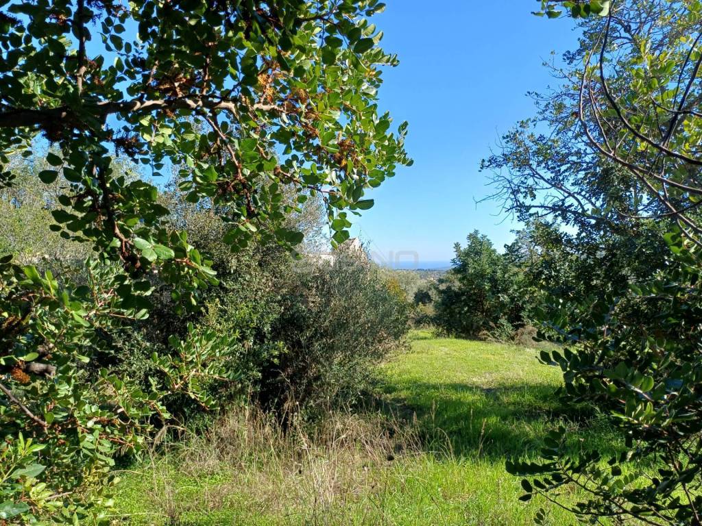 Terreno a Canicattini bagni in C.da GAROFALO - Foto 3