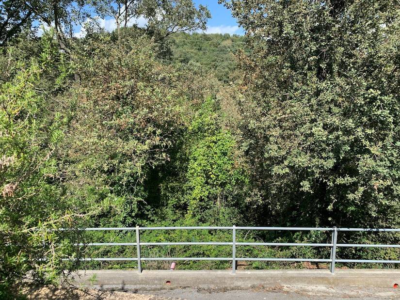 Appartamento a Finale ligure in Via Leon Pancaldo, 8 - Foto 4
