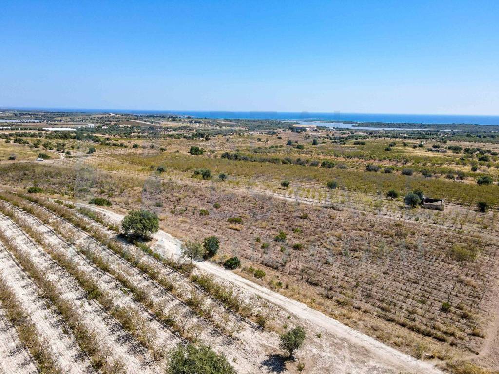Terreno a Noto in Via Tommaso Fazello, 228 - Foto 5