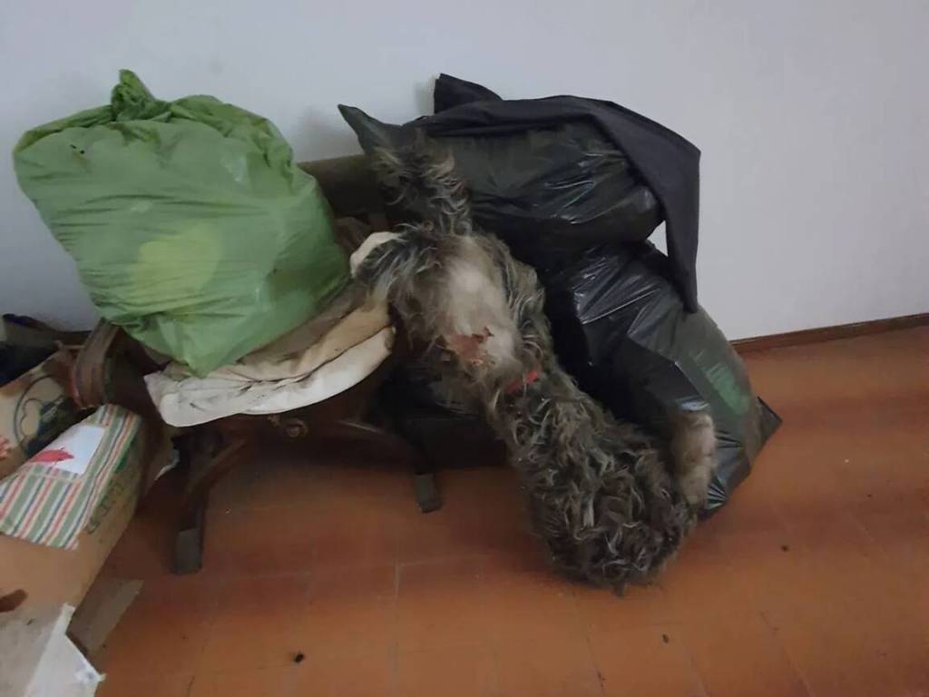 Rustico / casale a Pistoia in Via Villa Di Baggio - Foto 5