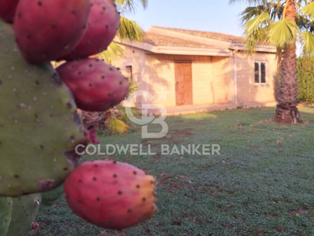 Villa a Modica in Vanella 97 - Foto 4