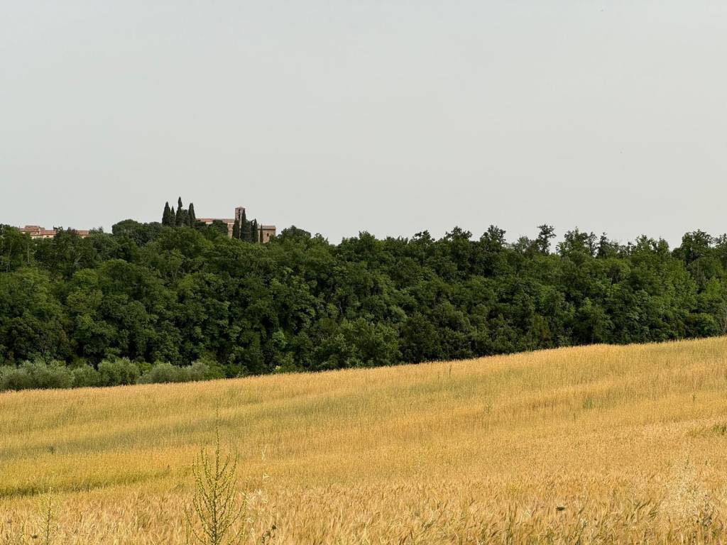 Rustico / casale a Sorano in Case Sparse Poggio Cava - Foto 2