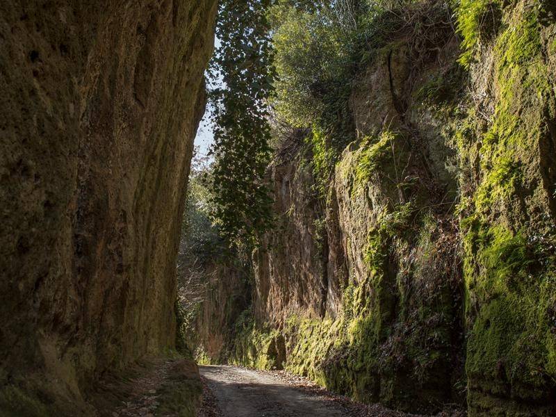 Rustico / casale a Sorano in Case Sparse Poggio Cava - Foto 3
