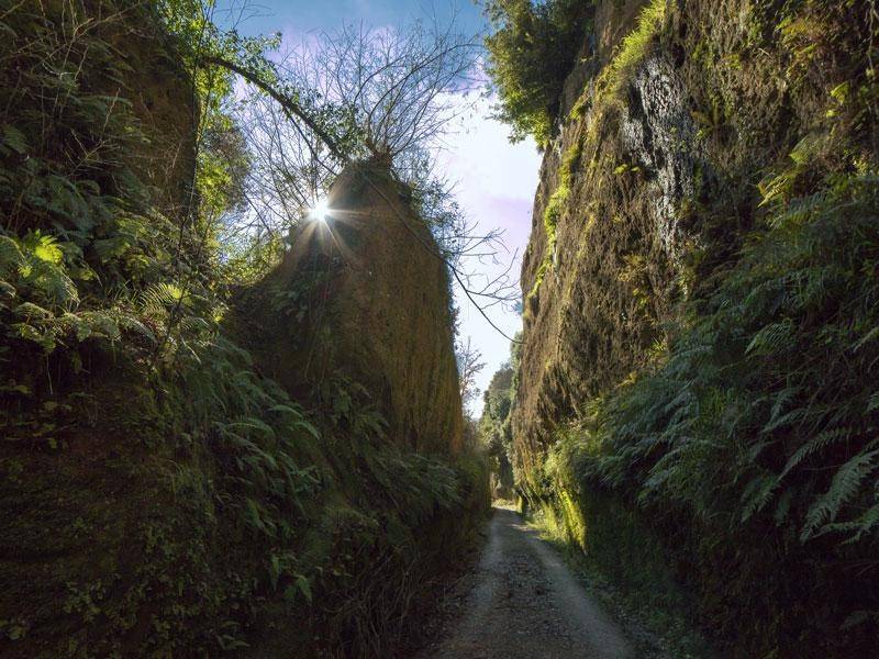 Rustico / casale a Sorano in Case Sparse Poggio Cava - Foto 4