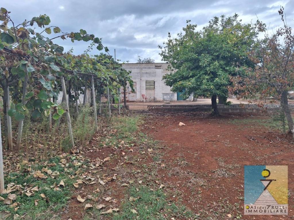 Rustico / casale a San michele salentino in Contrada Cotugni - Foto 3